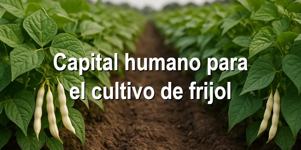 Capital humano para el cultivo de frijol