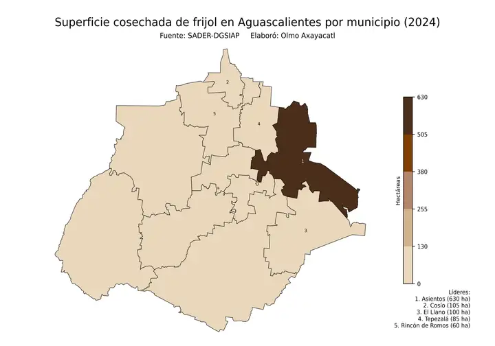 Superficie cosechada de frijol en Aguascalientes por municipio