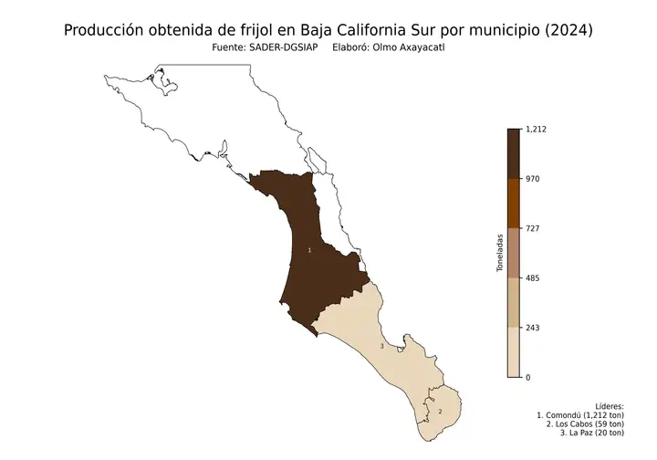 Producción obtenida de frijol en Baja California Sur por municipio