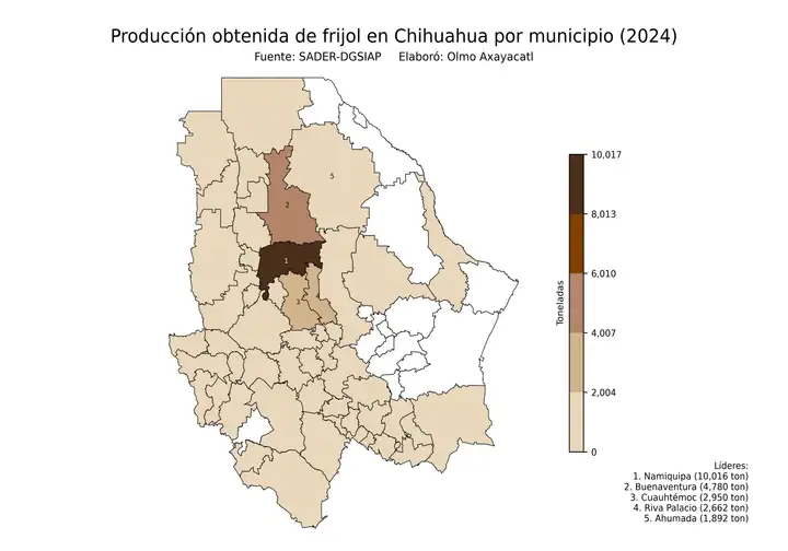 Producción obtenida de frijol en Chihuahua por municipio