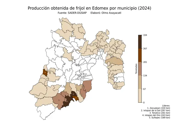 Producción obtenida de frijol en Estado de México por municipio
