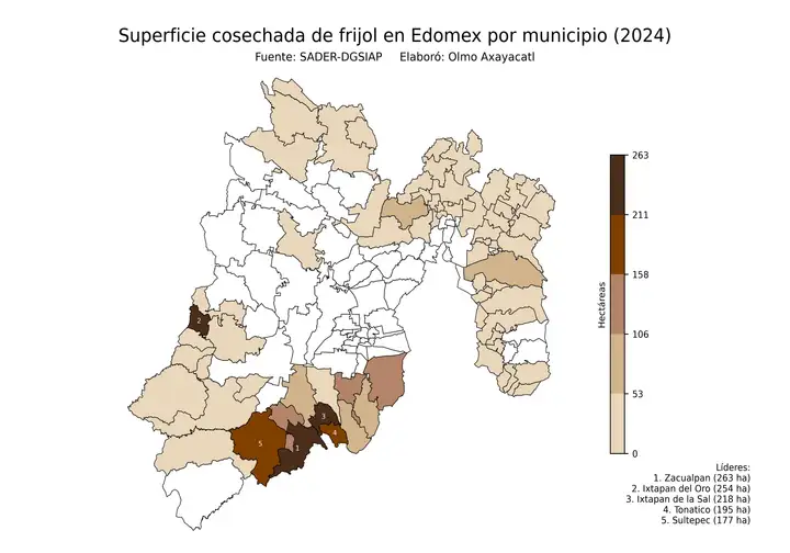 Superficie cosechada de frijol en Estado de México por municipio