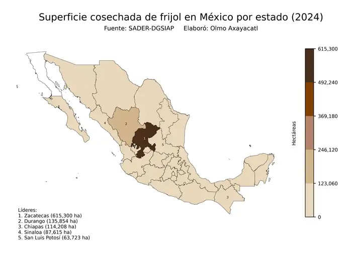 Superficie cosechada de frijol en México por estado