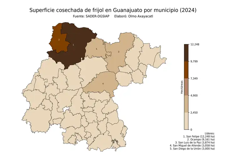 Superficie cosechada de frijol en Guanajuato por municipio