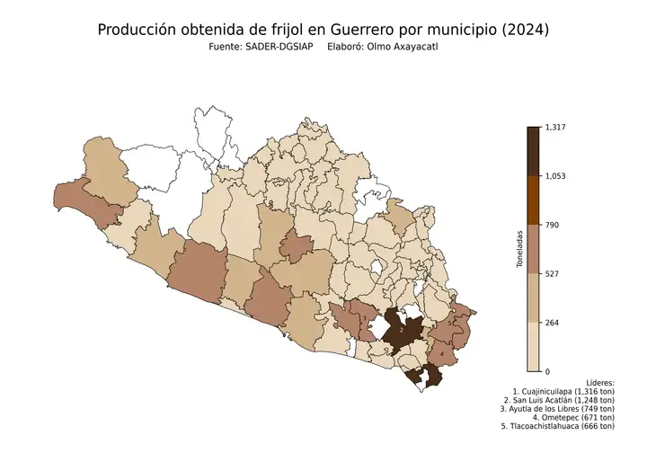 Producción obtenida de frijol en Guerrero por municipio