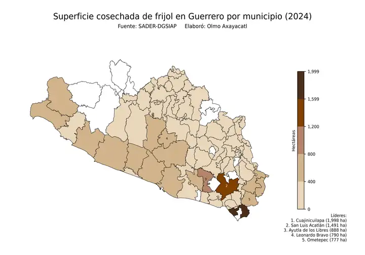 Superficie cosechada de frijol en Guerrero por municipio