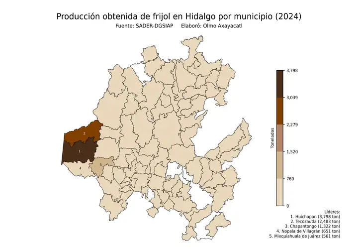 Producción obtenida de frijol en Hidalgo por municipio