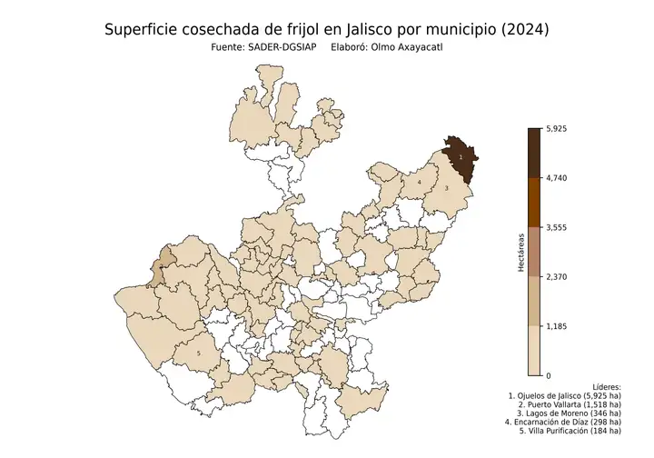 Superficie cosechada de frijol en Jalisco por municipio