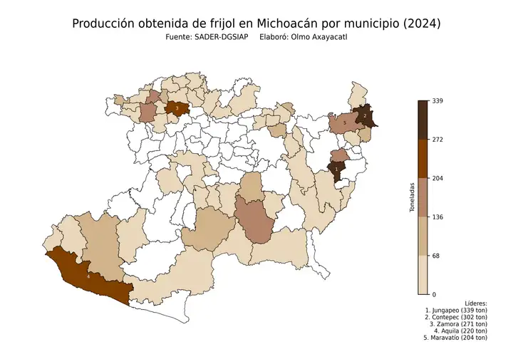 Producción obtenida de frijol en Michoacán por municipio
