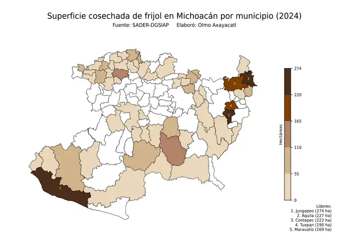 Superficie cosechada de frijol en Michoacán por municipio