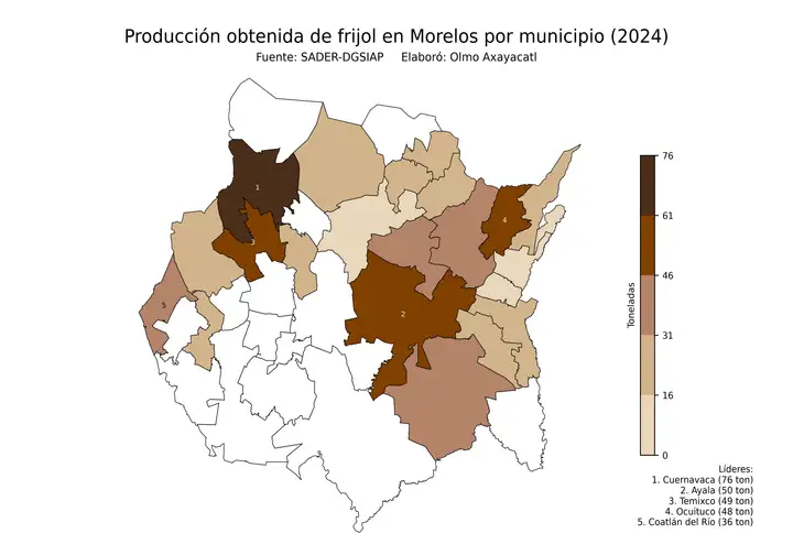 Producción obtenida de frijol en Morelos por municipio