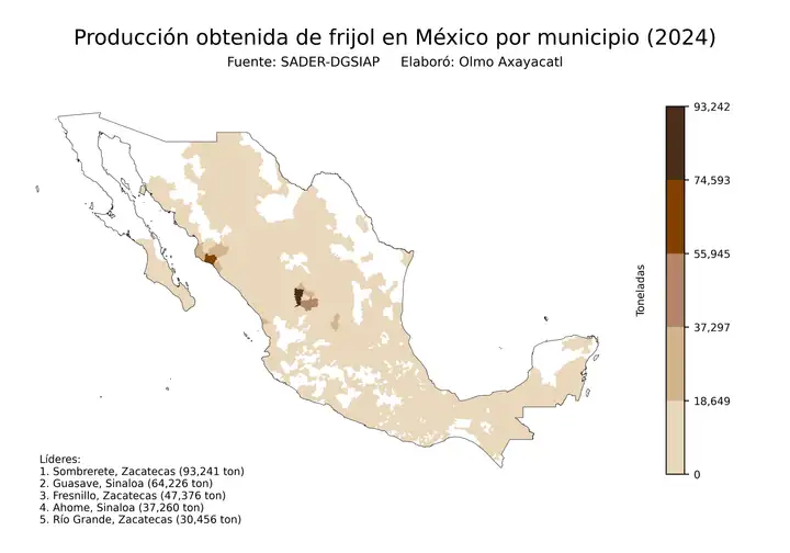 Producción obtenida de frijol en México por municipio