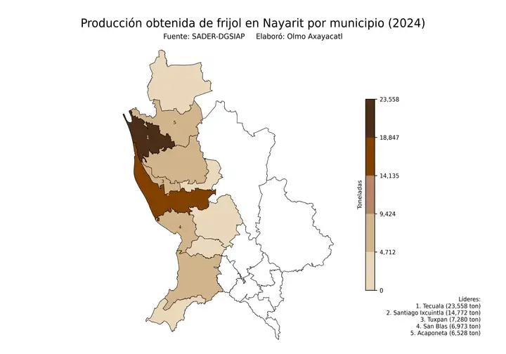 Producción obtenida de frijol en Nayarit por municipio