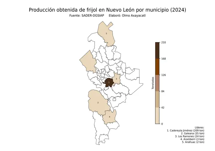 Producción obtenida de frijol en Nuevo León por municipio