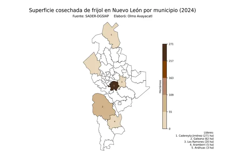Superficie cosechada de frijol en Nuevo León por municipio