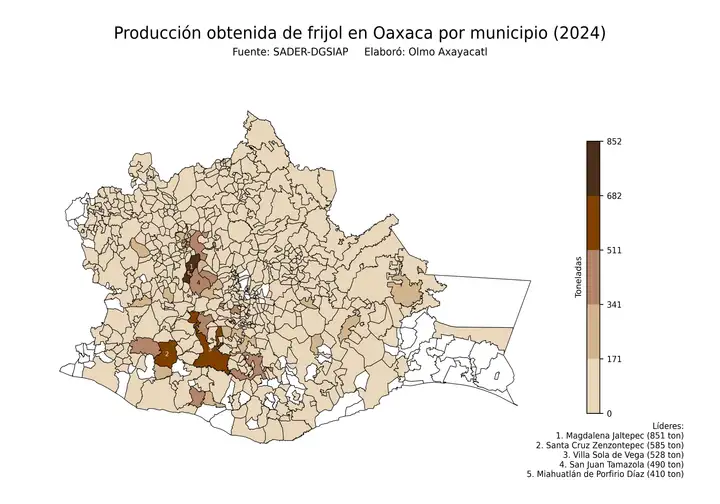 Producción obtenida de frijol en Oaxaca por municipio
