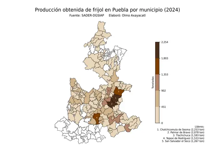 Producción obtenida de frijol en Puebla por municipio
