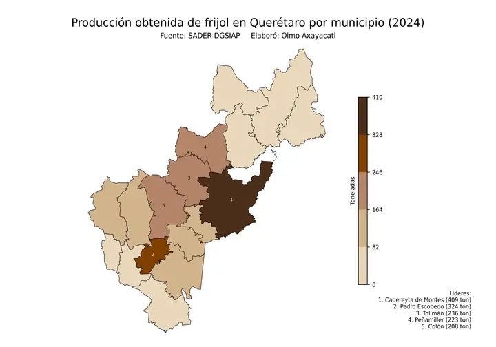 Producción obtenida de frijol en Querétaro por municipio