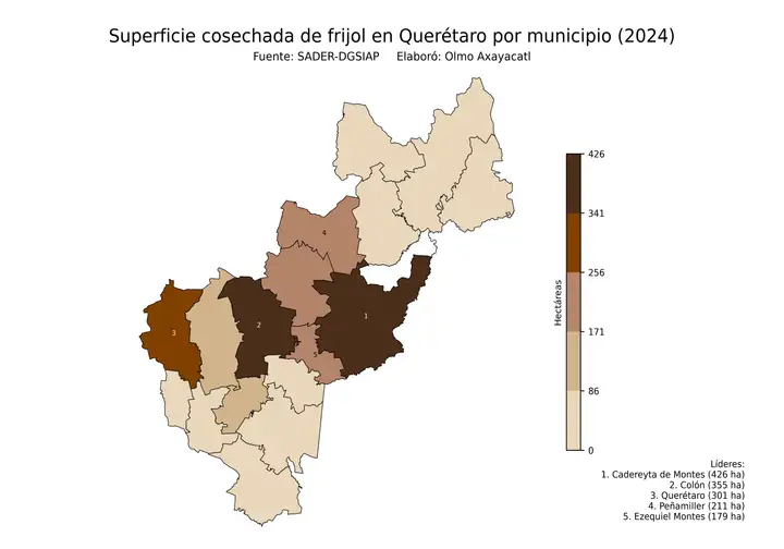 Superficie cosechada de frijol en Querétaro por municipio