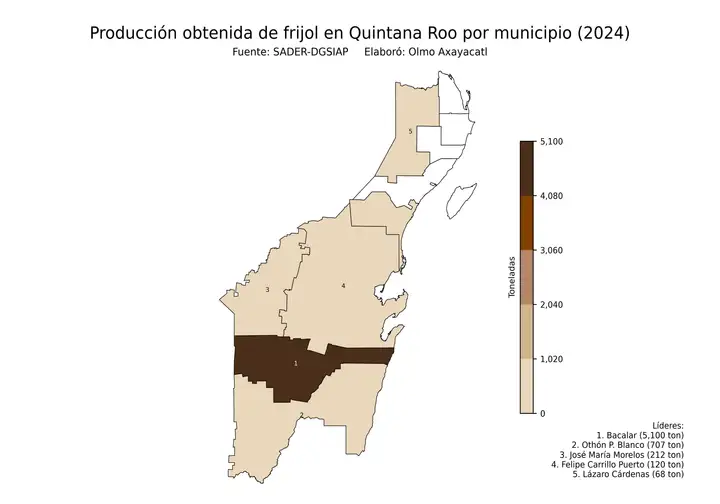 Producción obtenida de frijol en Quintana Roo por municipio