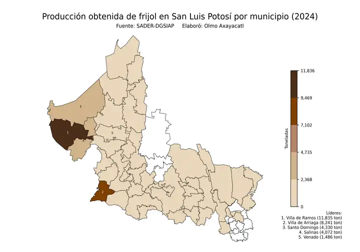 Producción obtenida de frijol en San Luis Potosí por municipio