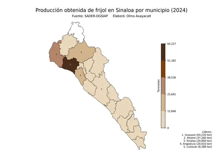 Producción obtenida de frijol en Sinaloa por municipio