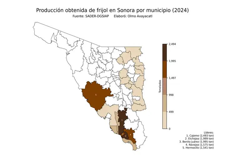 Producción obtenida de frijol en Sonora por municipio