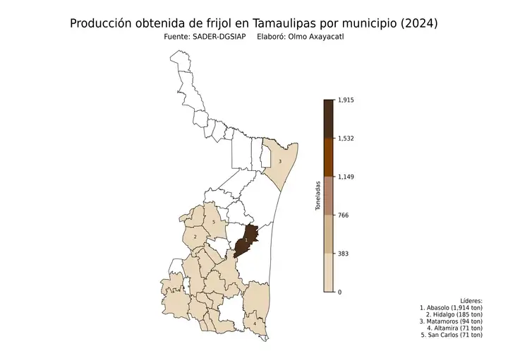 Producción obtenida de frijol en Tamaulipas por municipio
