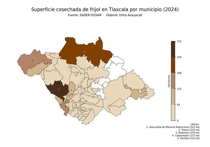 Superficie cosechada de frijol en Tlaxcala por municipio