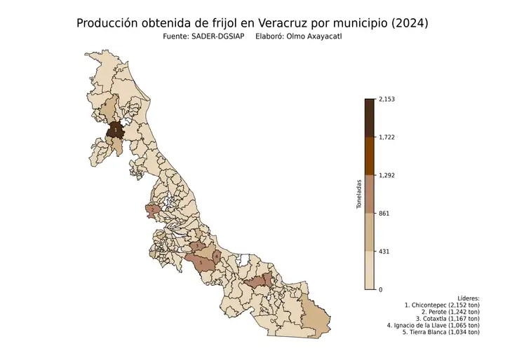 Producción obtenida de frijol en Veracruz por municipio