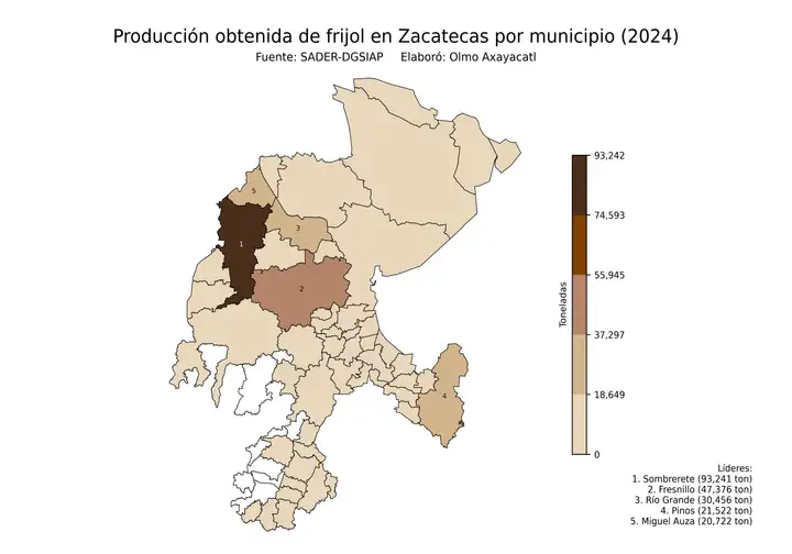 Producción obtenida de frijol en Zacatecas por municipio