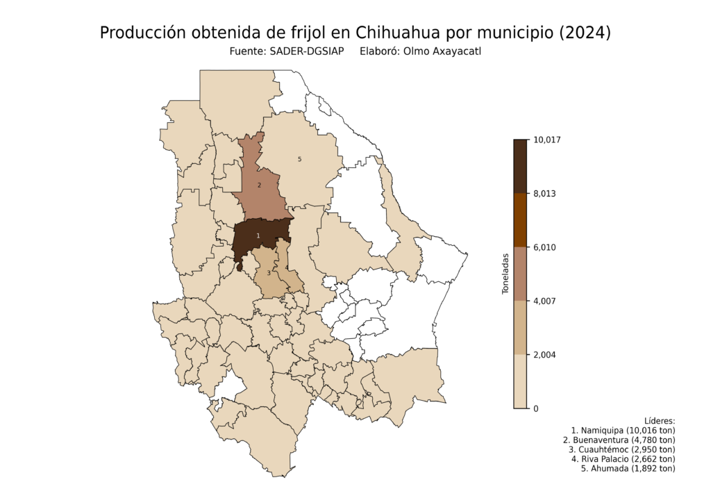 México Producción Agrícola Frijol Chihuahua (producción obtenida)