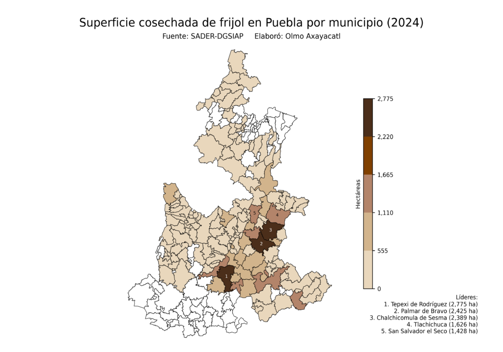 México Producción Agrícola Frijol Puebla (superficie cosechada)