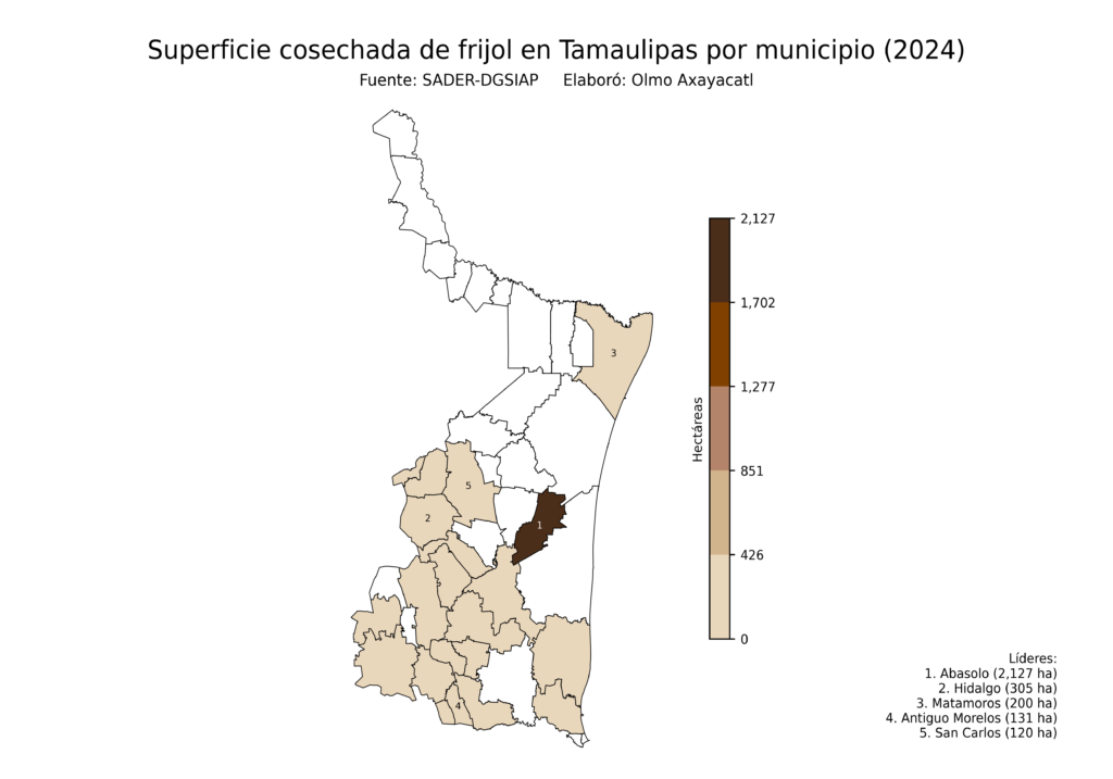 México Producción Agrícola Frijol Tamaulipas (superficie cosechada)